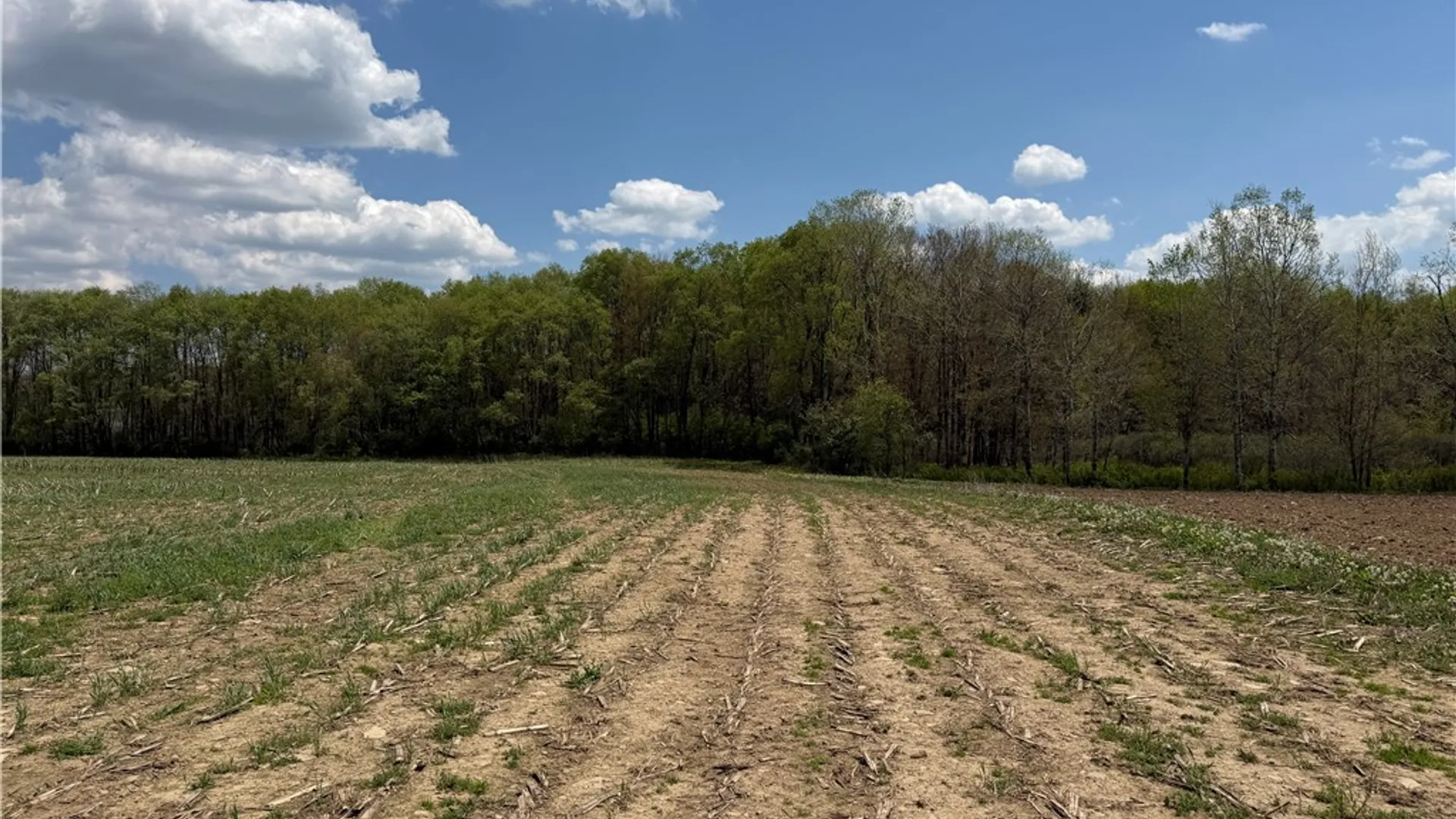 Property at Lot 03 County Road 16, Grove, NY 14884 6