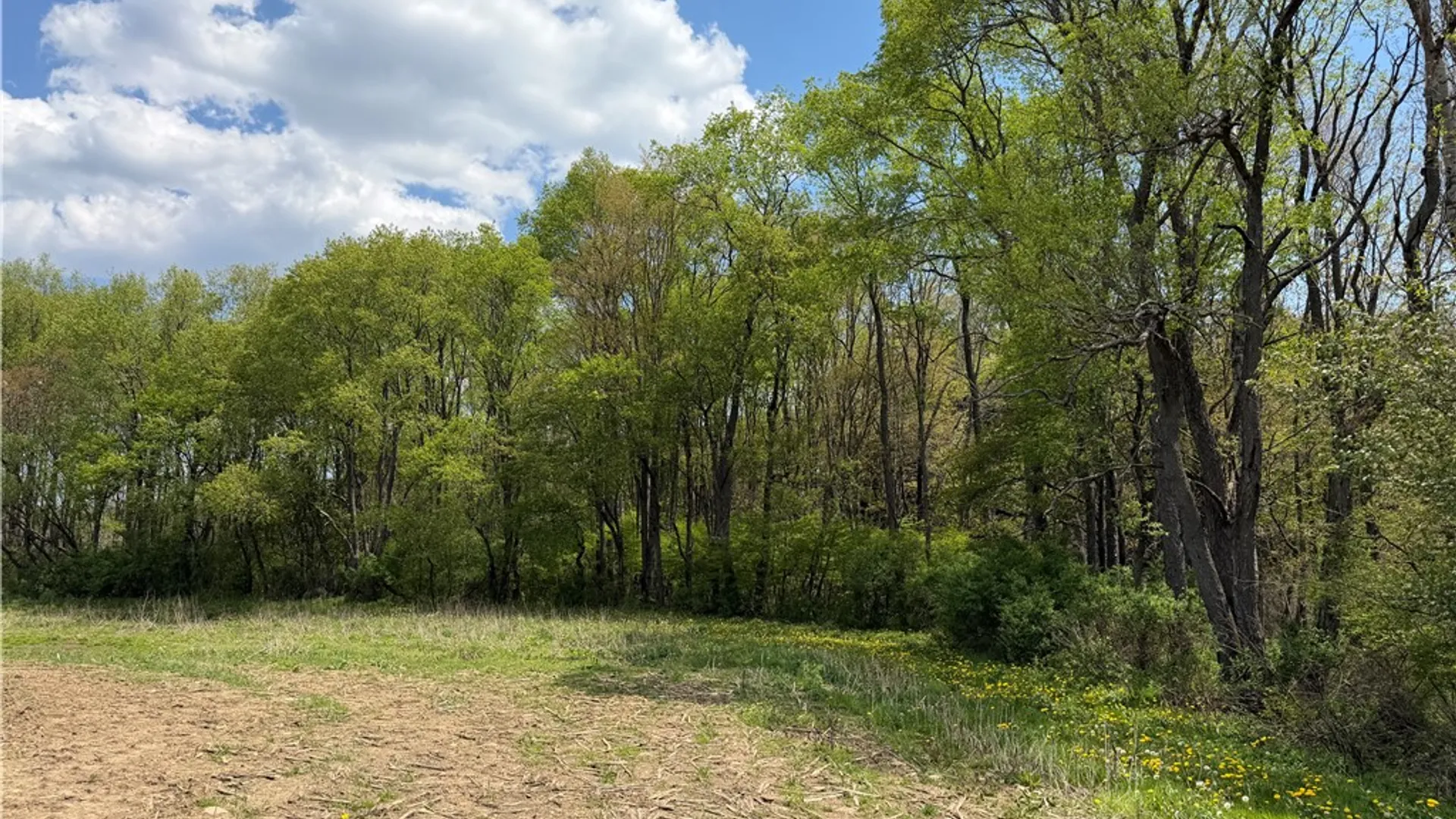 Property at Lot 03 County Road 16, Grove, NY 14884 7