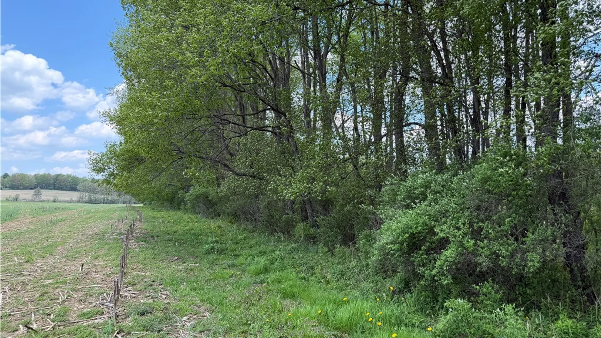 Property at Lot 03 County Road 16, Grove, NY 14884 9