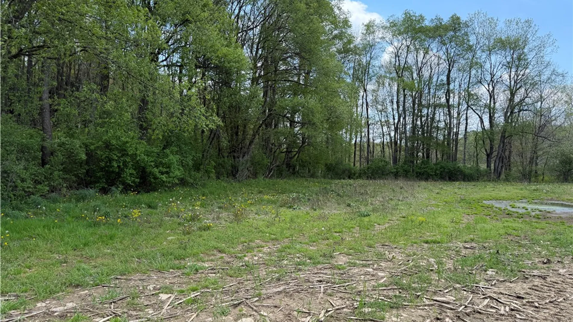 Property at Lot 03 County Road 16, Grove, NY 14884 10