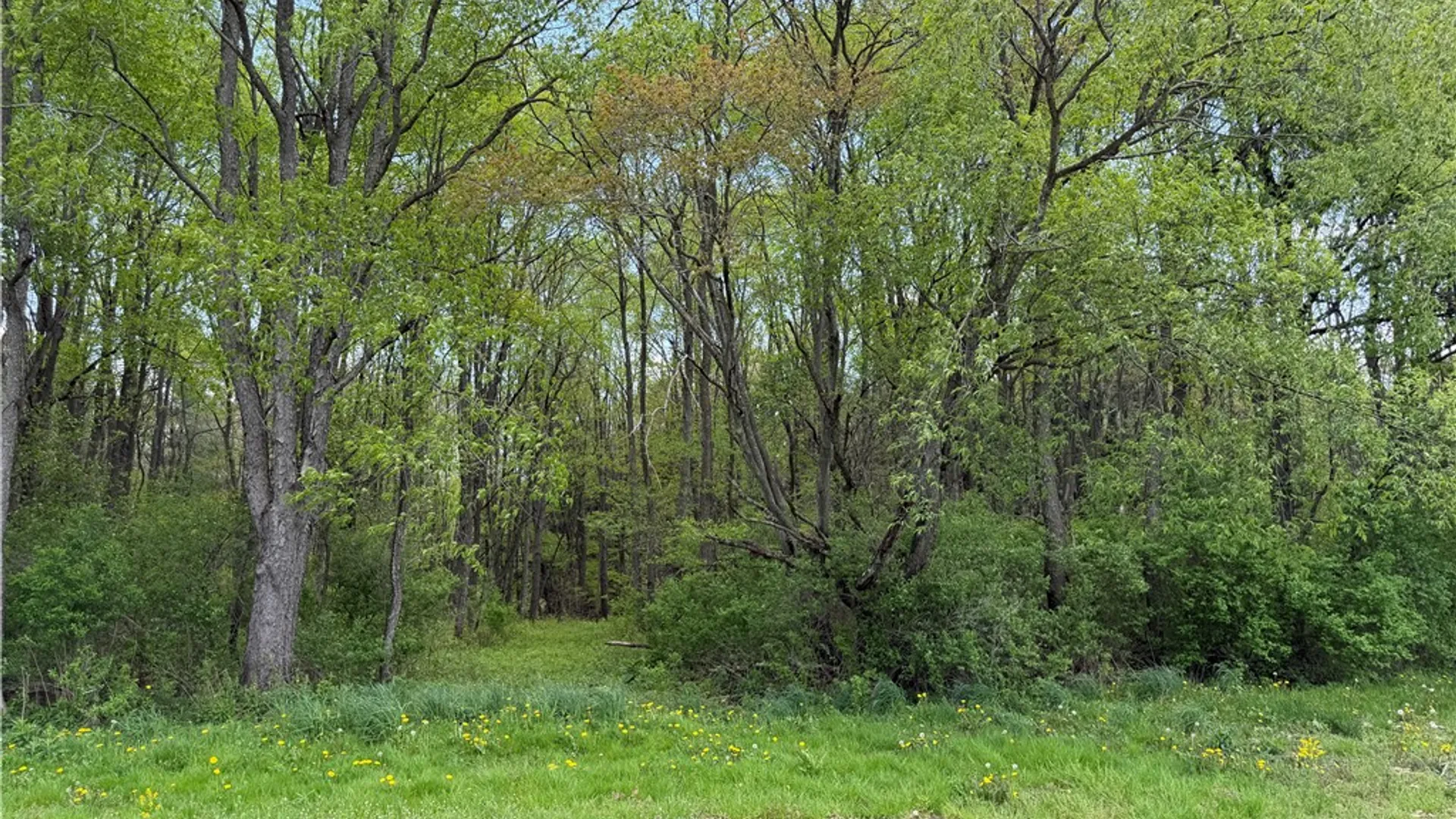 Property at Lot 03 County Road 16, Grove, NY 14884 11