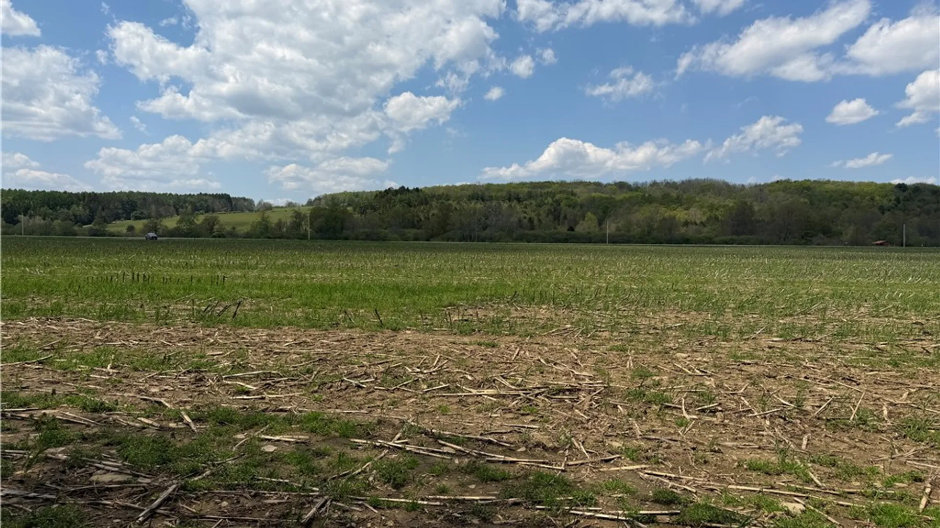 Property at Lot 03 County Road 16, Grove, NY 14884 12