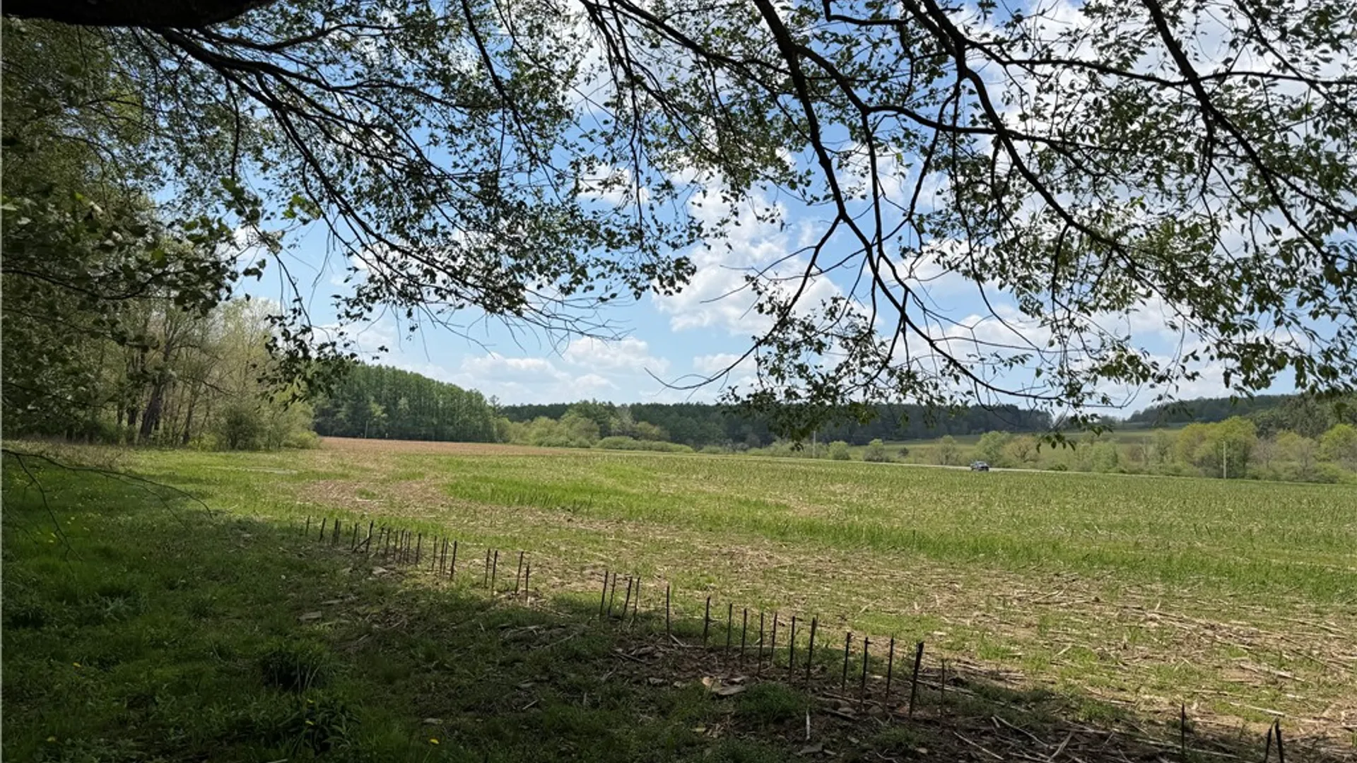 Property at Lot 03 County Road 16, Grove, NY 14884 13
