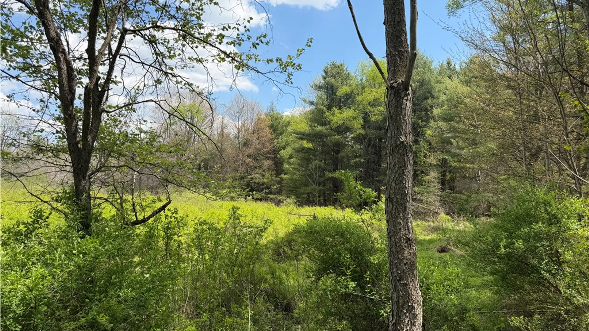 Property at Lot 03 County Road 16, Grove, NY 14884 14