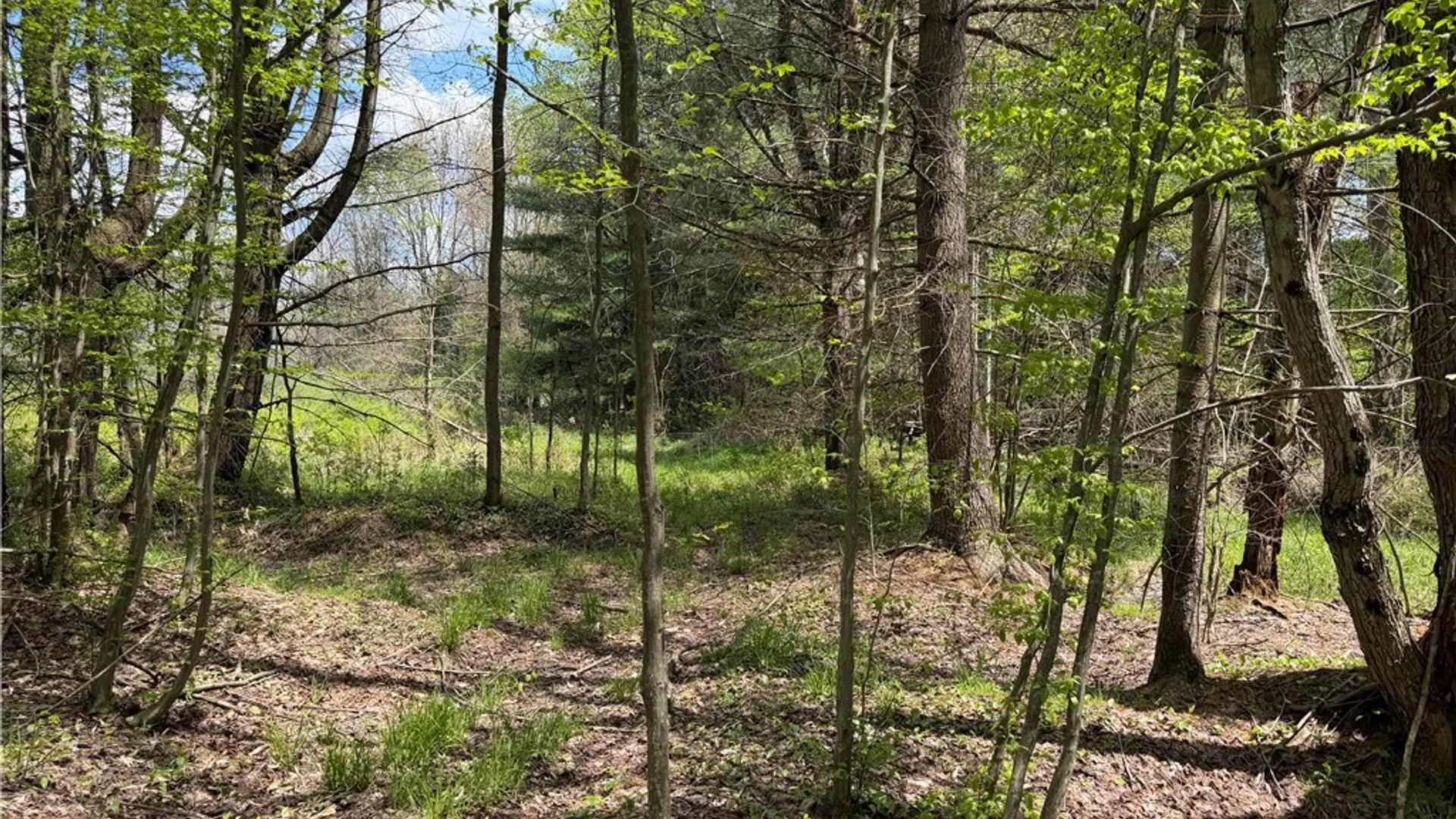 Property at Lot 03 County Road 16, Grove, NY 14884 16