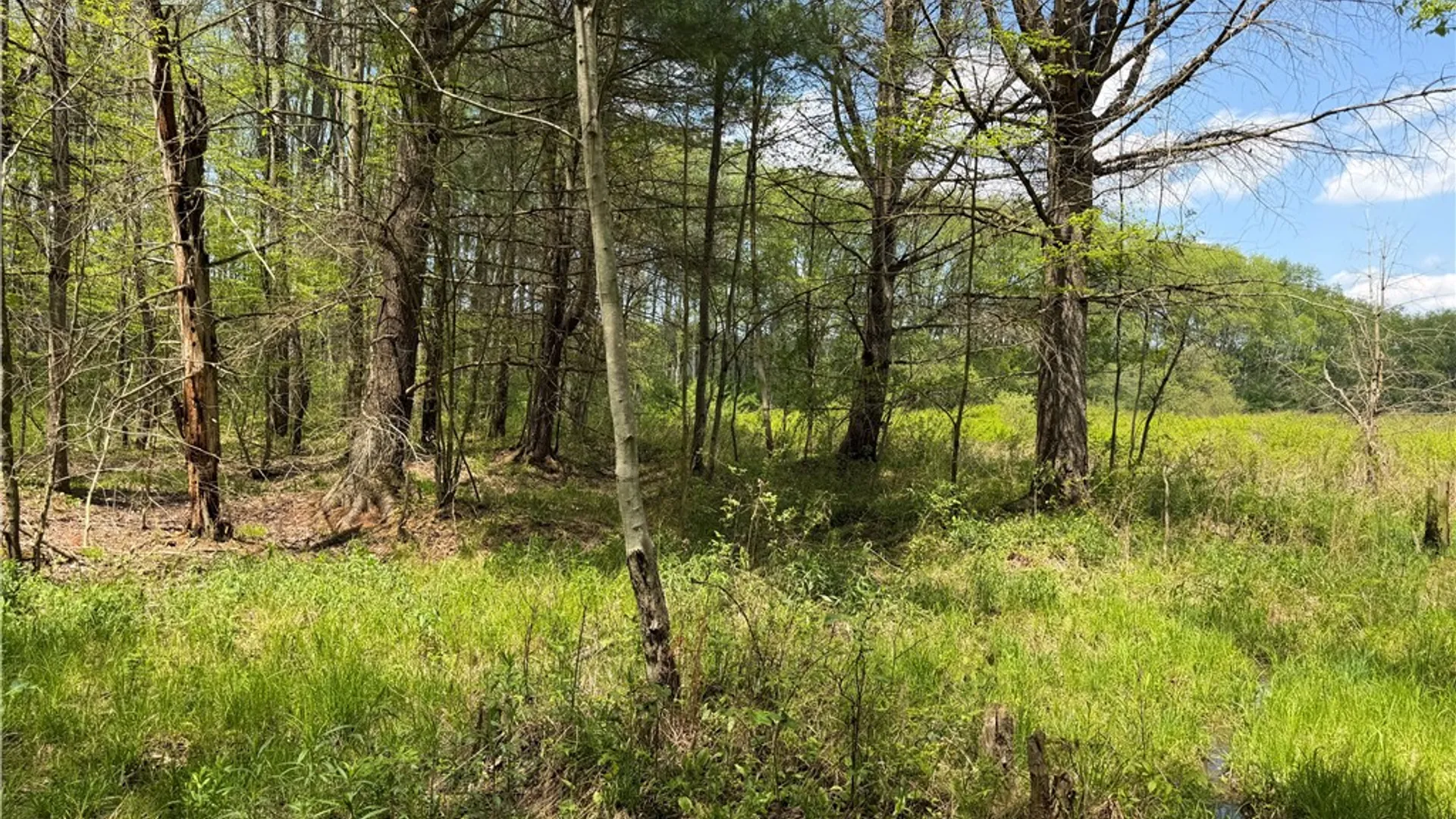 Property at Lot 03 County Road 16, Grove, NY 14884 18