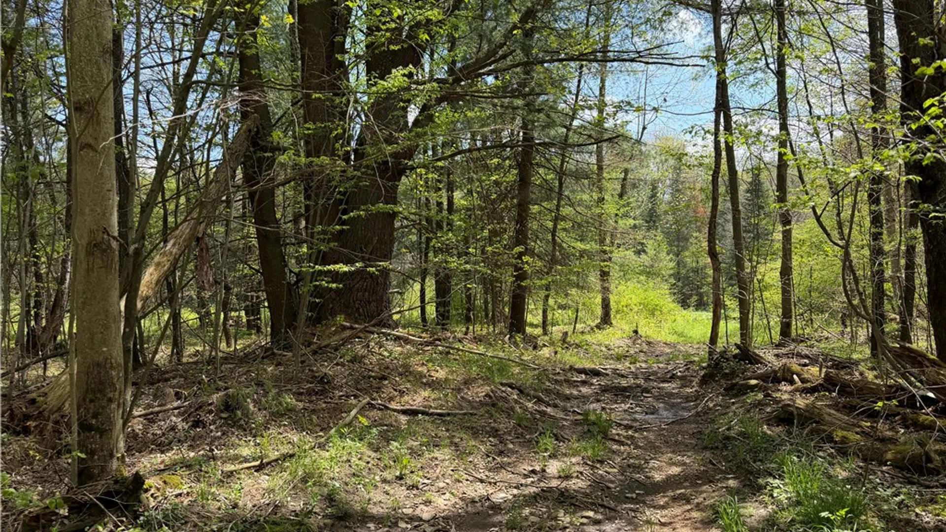 Property at Lot 03 County Road 16, Grove, NY 14884 19