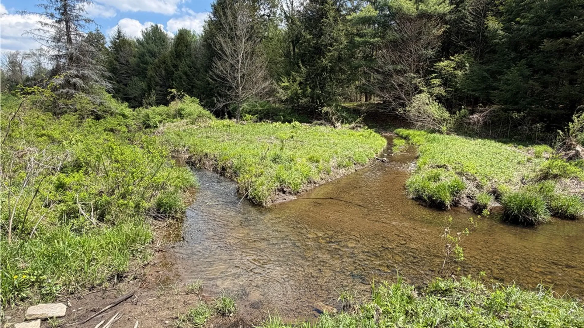 Property at Lot 03 County Road 16, Grove, NY 14884 21