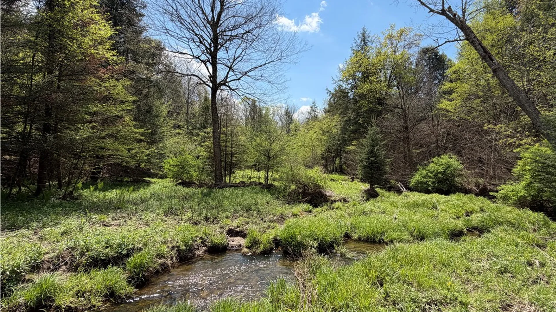 Property at Lot 03 County Road 16, Grove, NY 14884 22