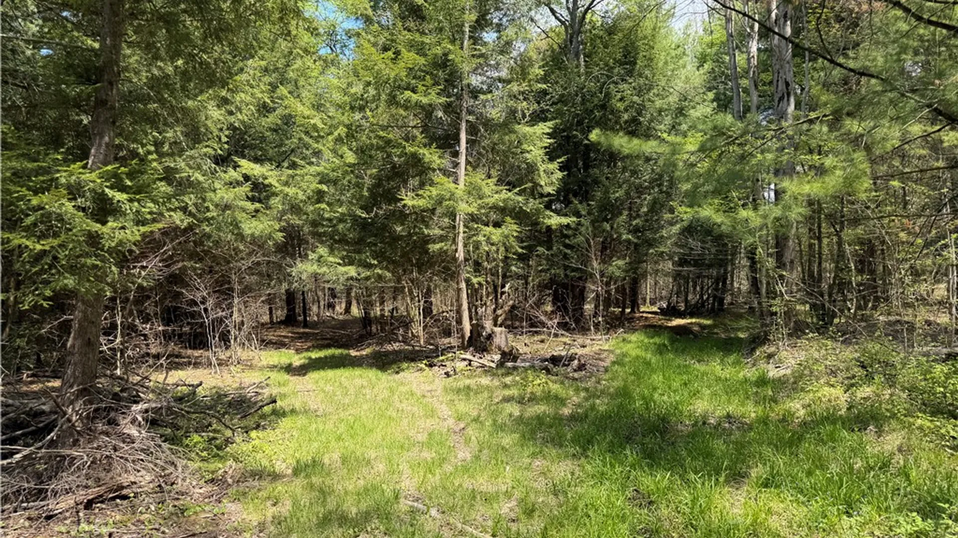 Property at Lot 03 County Road 16, Grove, NY 14884 23