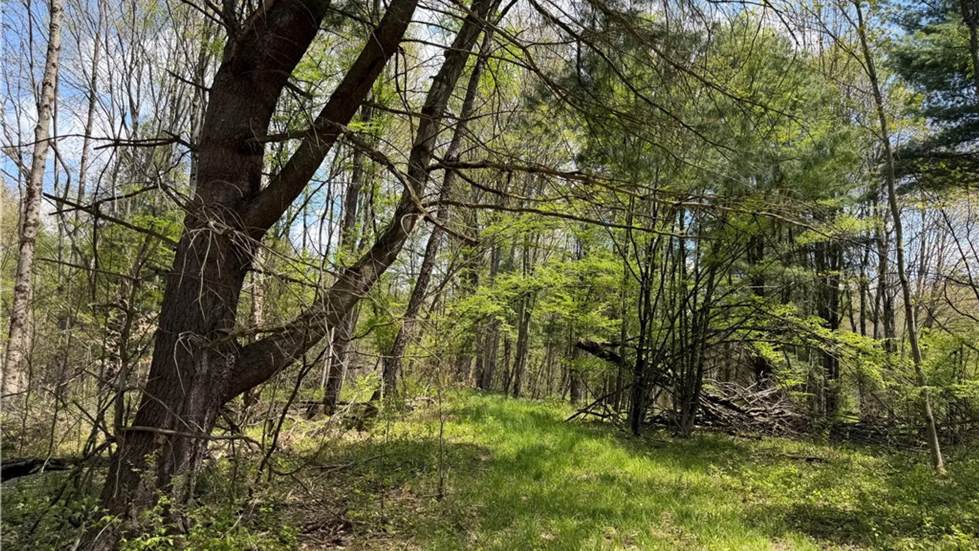 Property at Lot 03 County Road 16, Grove, NY 14884 24