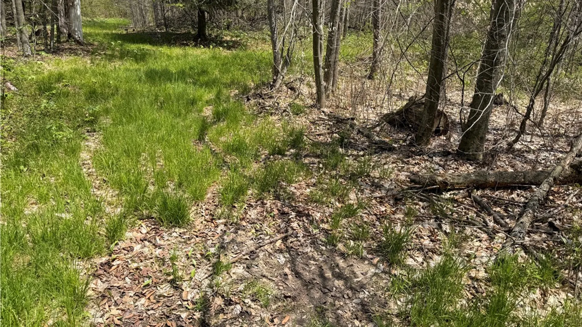 Property at Lot 03 County Road 16, Grove, NY 14884 26