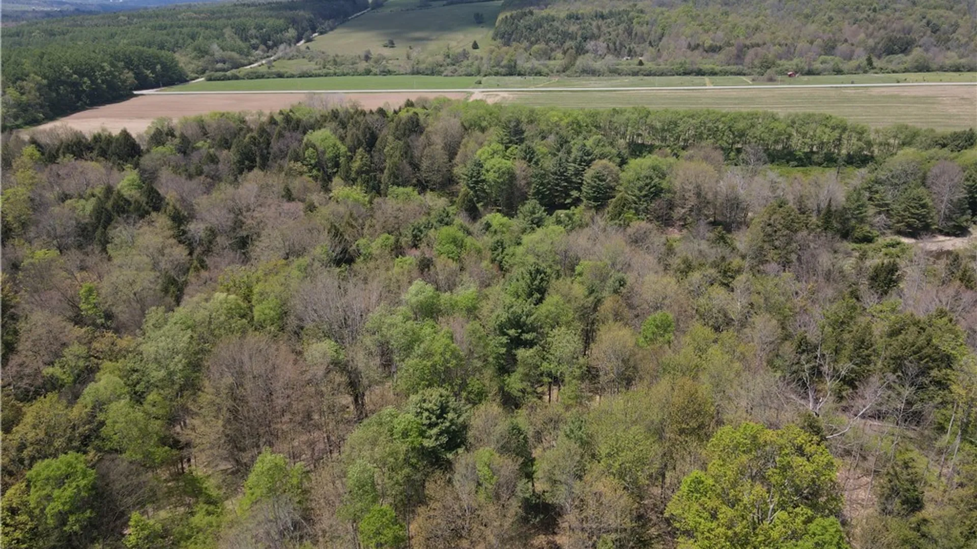Property at Lot 03 County Road 16, Grove, NY 14884 31