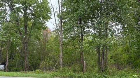 Property at Rt-13, Vienna, NY 13308