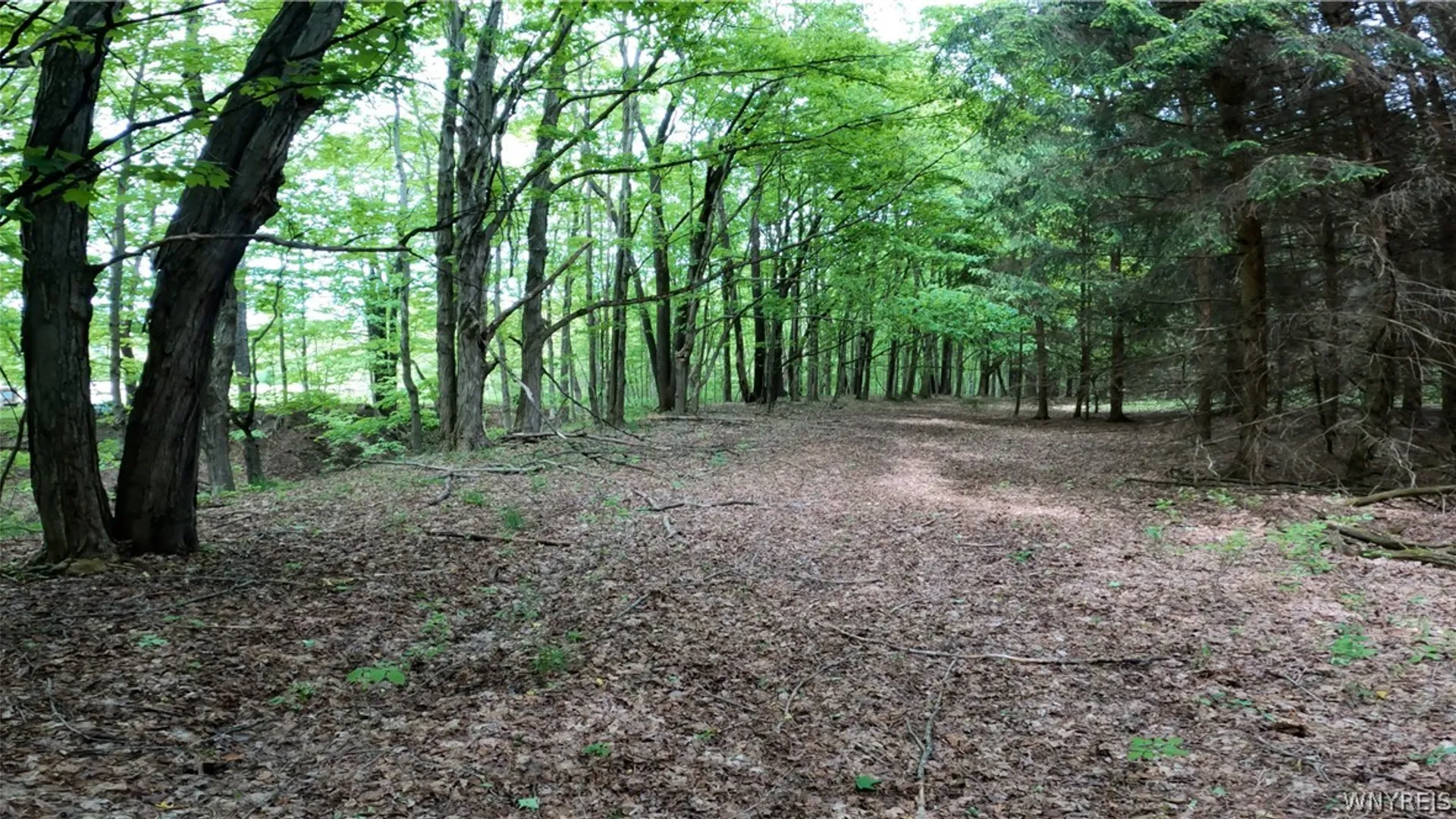 Property at VL Vermont Hill Road, Wales, NY 14139 6
