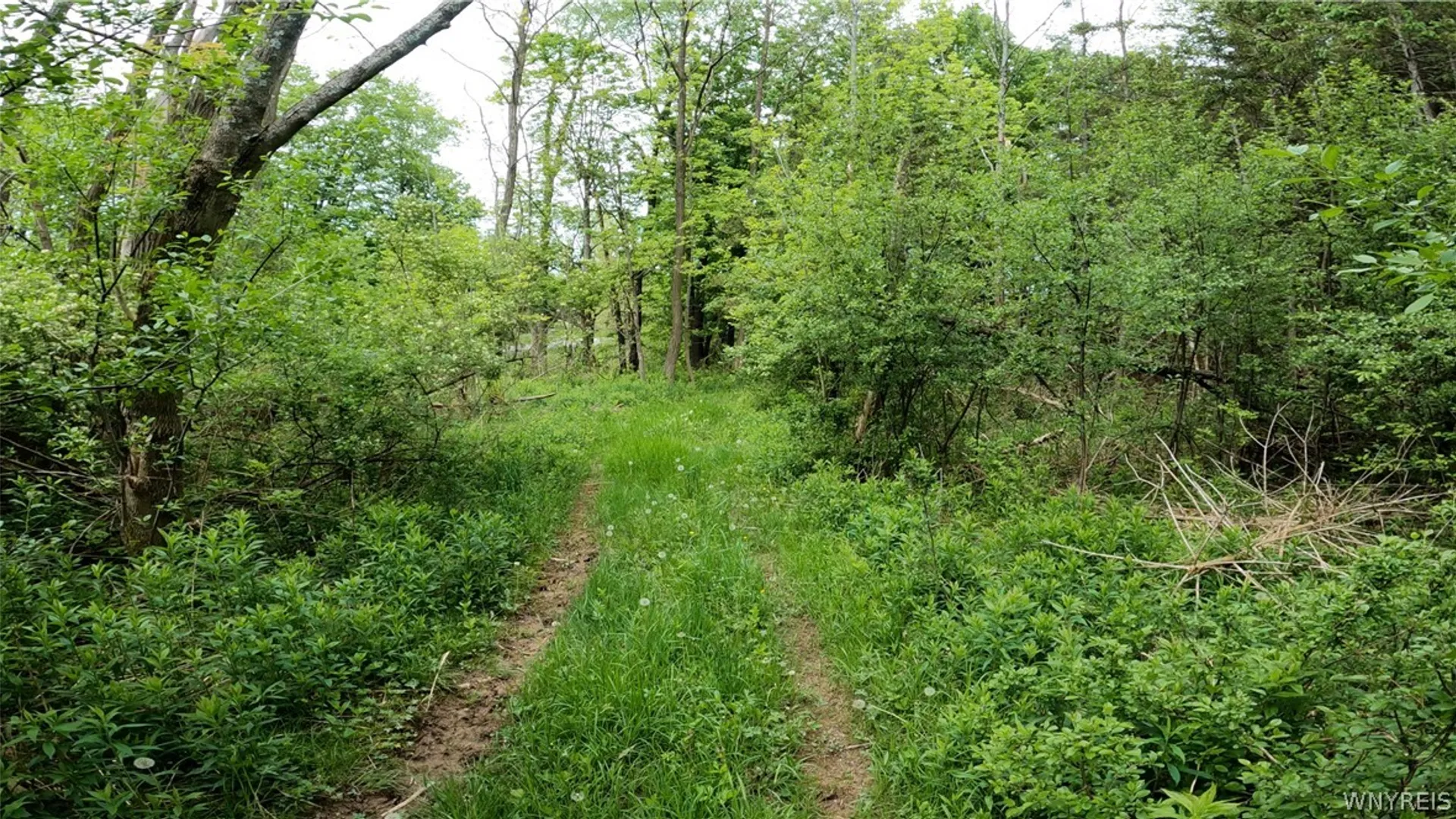 Property at VL Vermont Hill Road, Wales, NY 14139 4