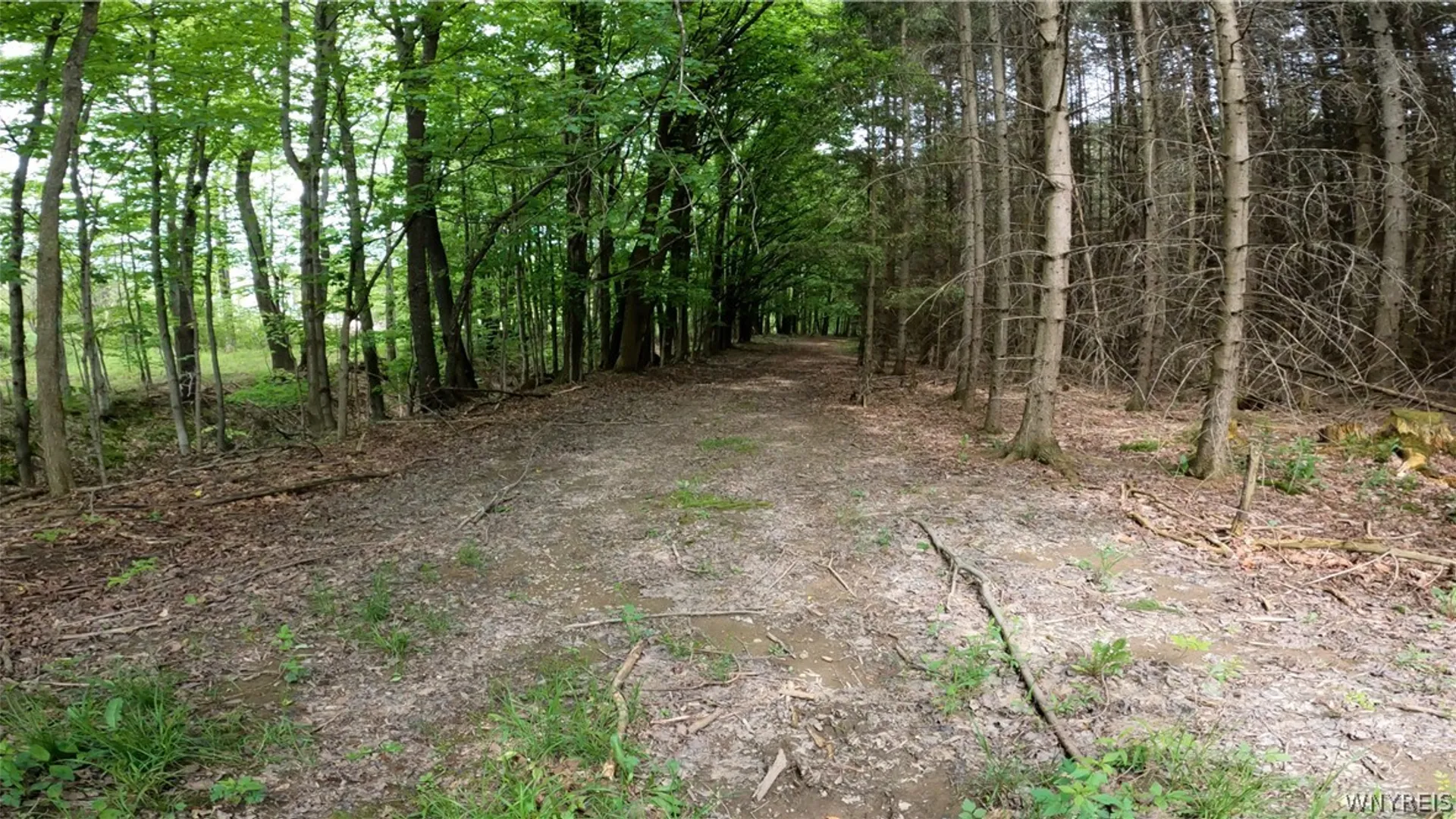 Property at VL Vermont Hill Road, Wales, NY 14139 5