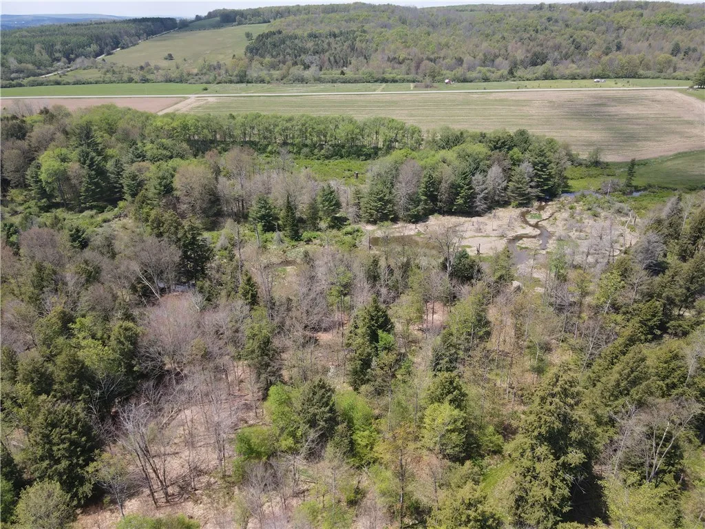 Property at Lot 2 County Road 16, Grove, NY 14884