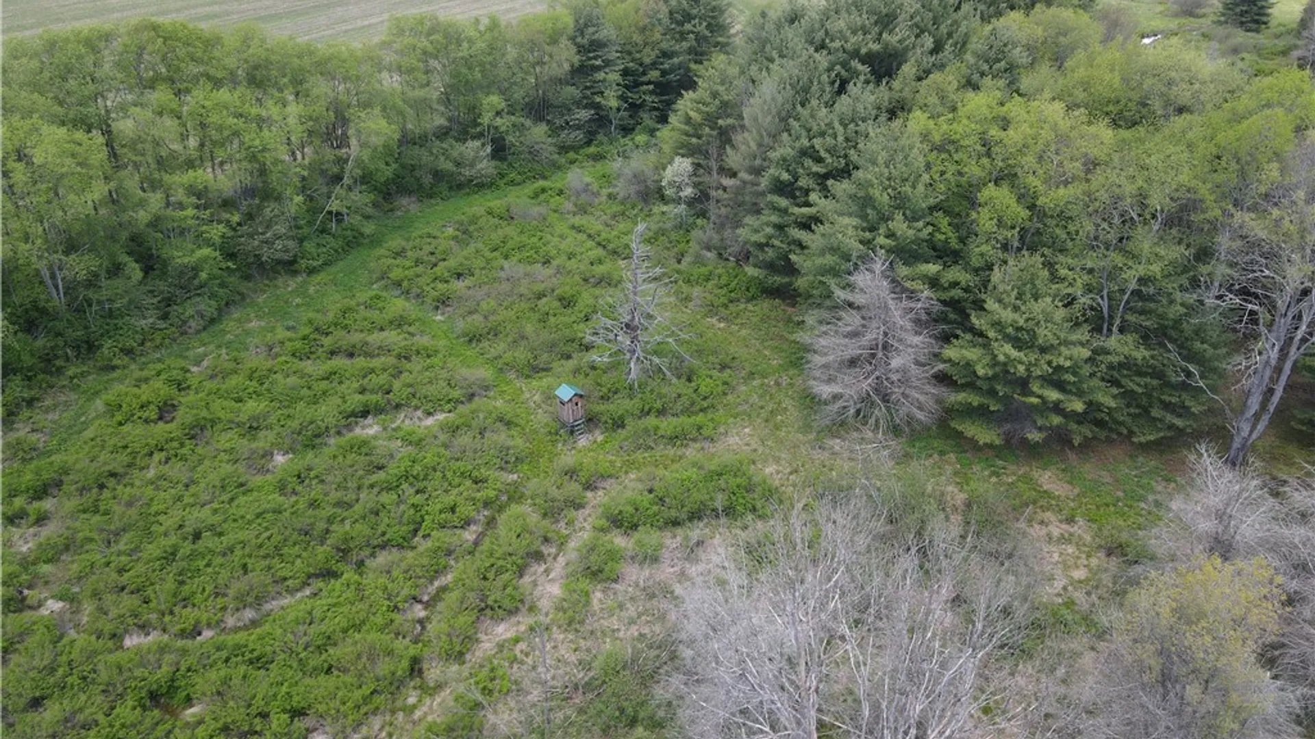 Property at Lot 2 County Road 16, Grove, NY 14884 3