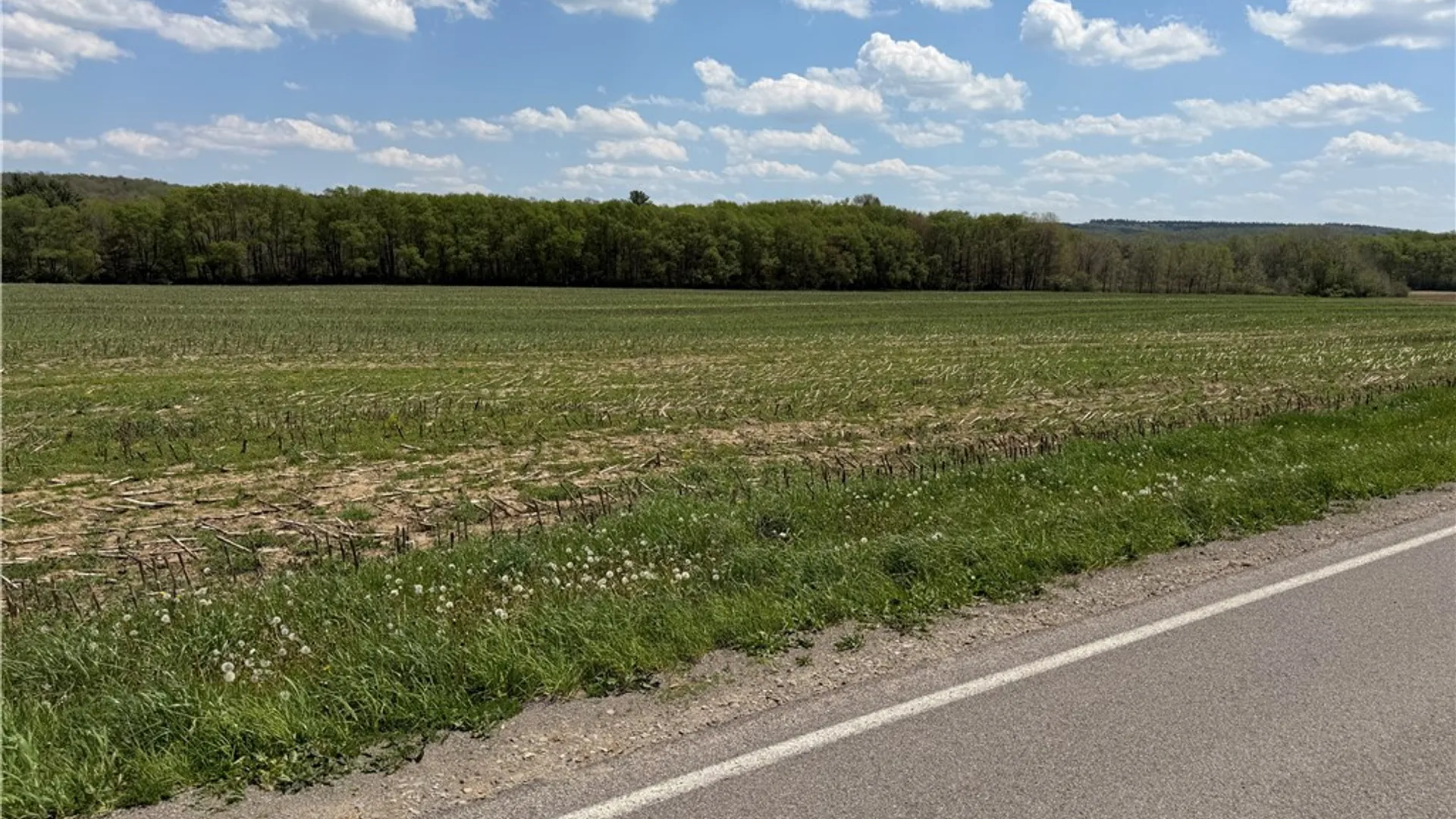 Property at Lot 2 County Road 16, Grove, NY 14884 5