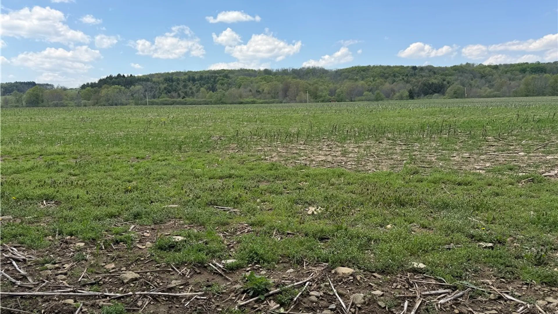 Property at Lot 2 County Road 16, Grove, NY 14884 6