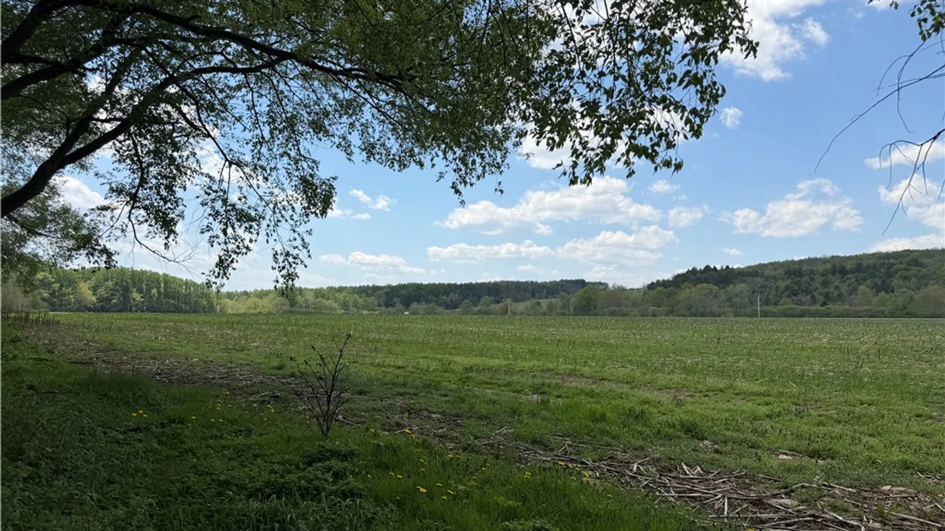 Property at Lot 2 County Road 16, Grove, NY 14884 7