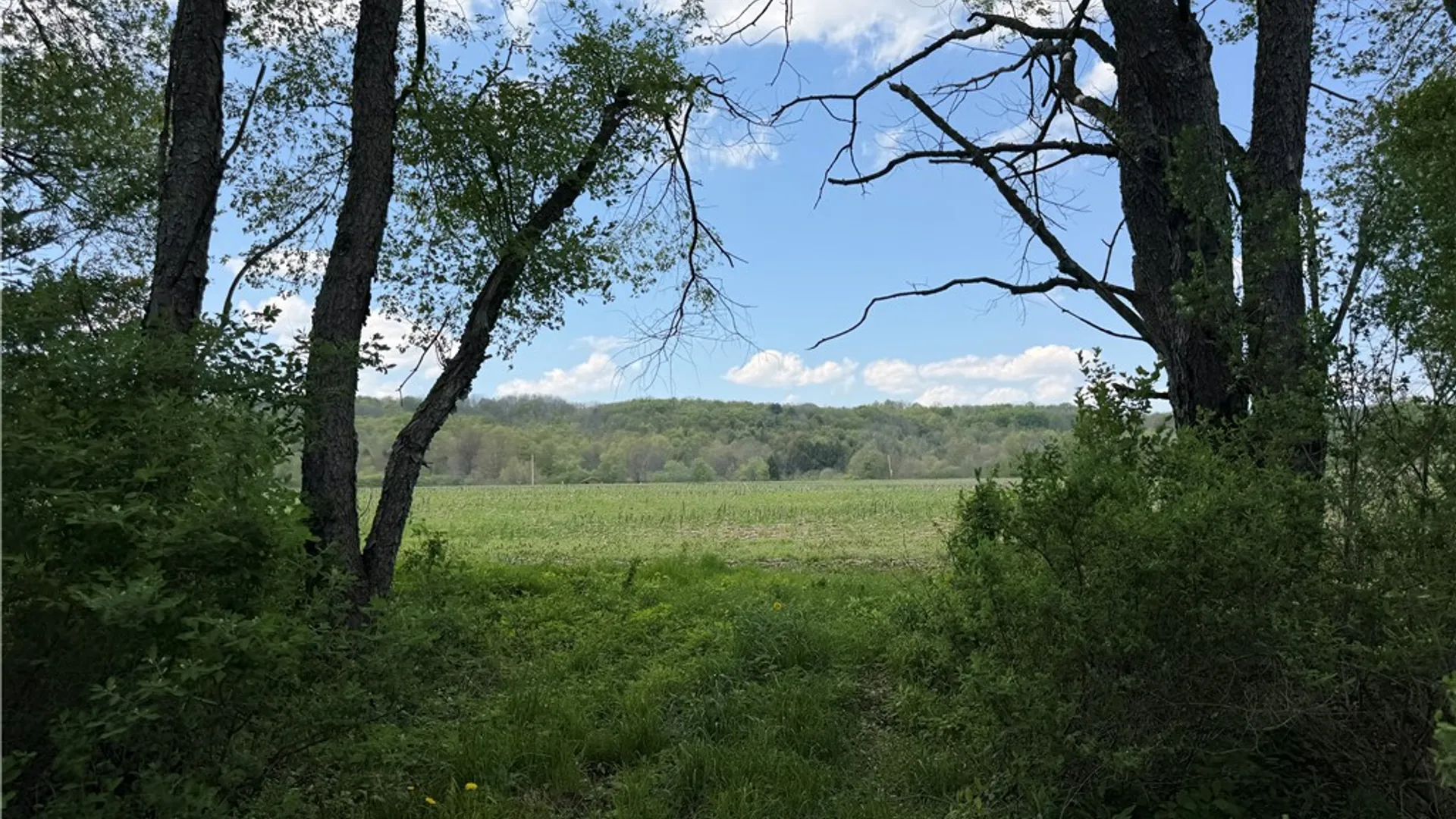 Property at Lot 2 County Road 16, Grove, NY 14884 8