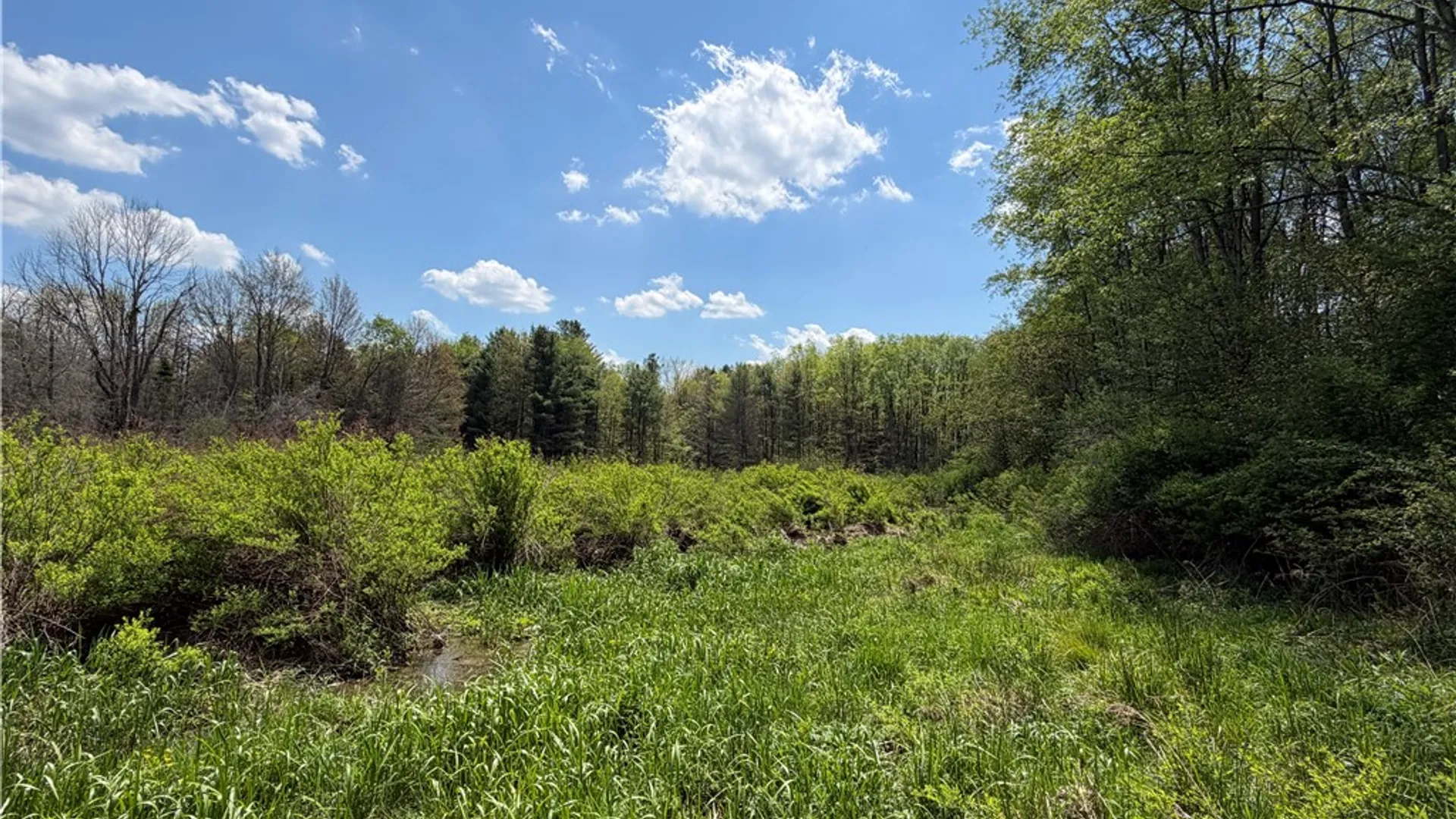 Property at Lot 2 County Road 16, Grove, NY 14884 9