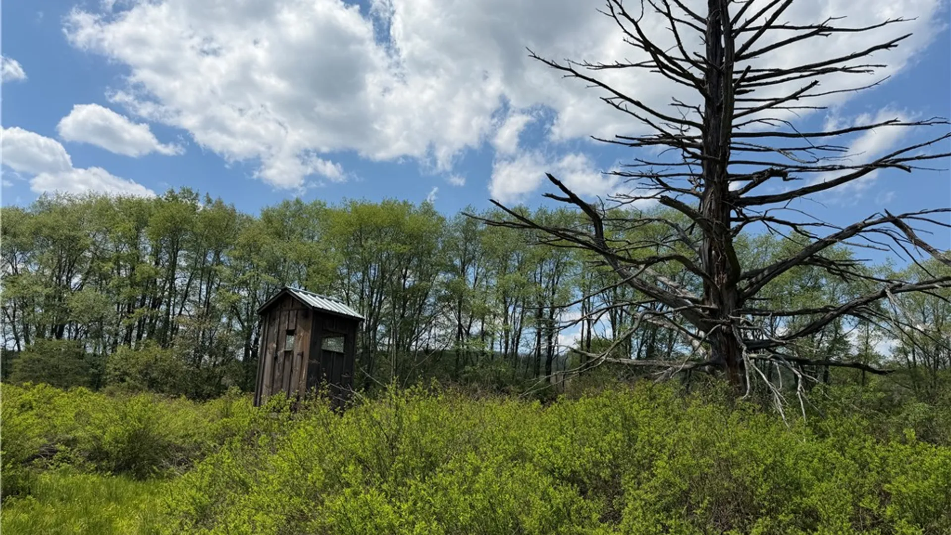 Property at Lot 2 County Road 16, Grove, NY 14884 11