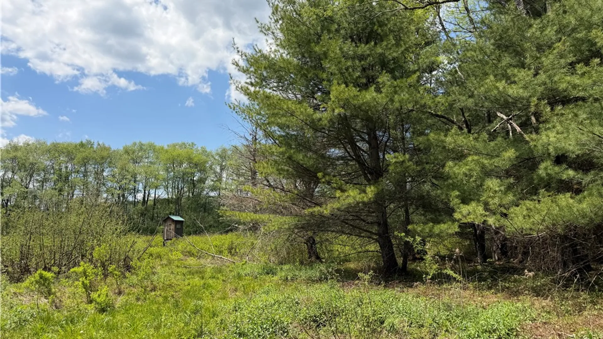 Property at Lot 2 County Road 16, Grove, NY 14884 12