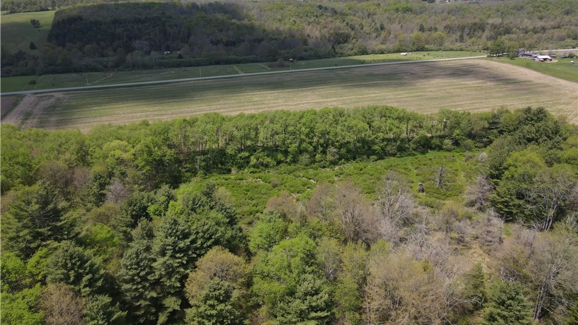 Property at Lot 2 County Road 16, Grove, NY 14884 13