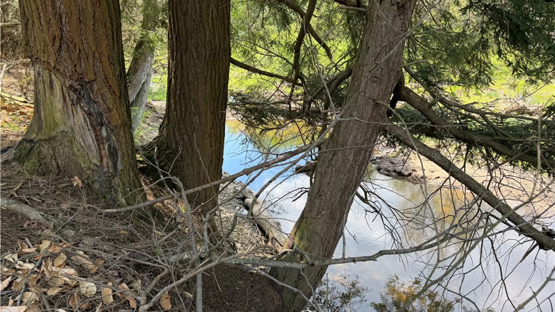 Property at Lot 2 County Road 16, Grove, NY 14884 19