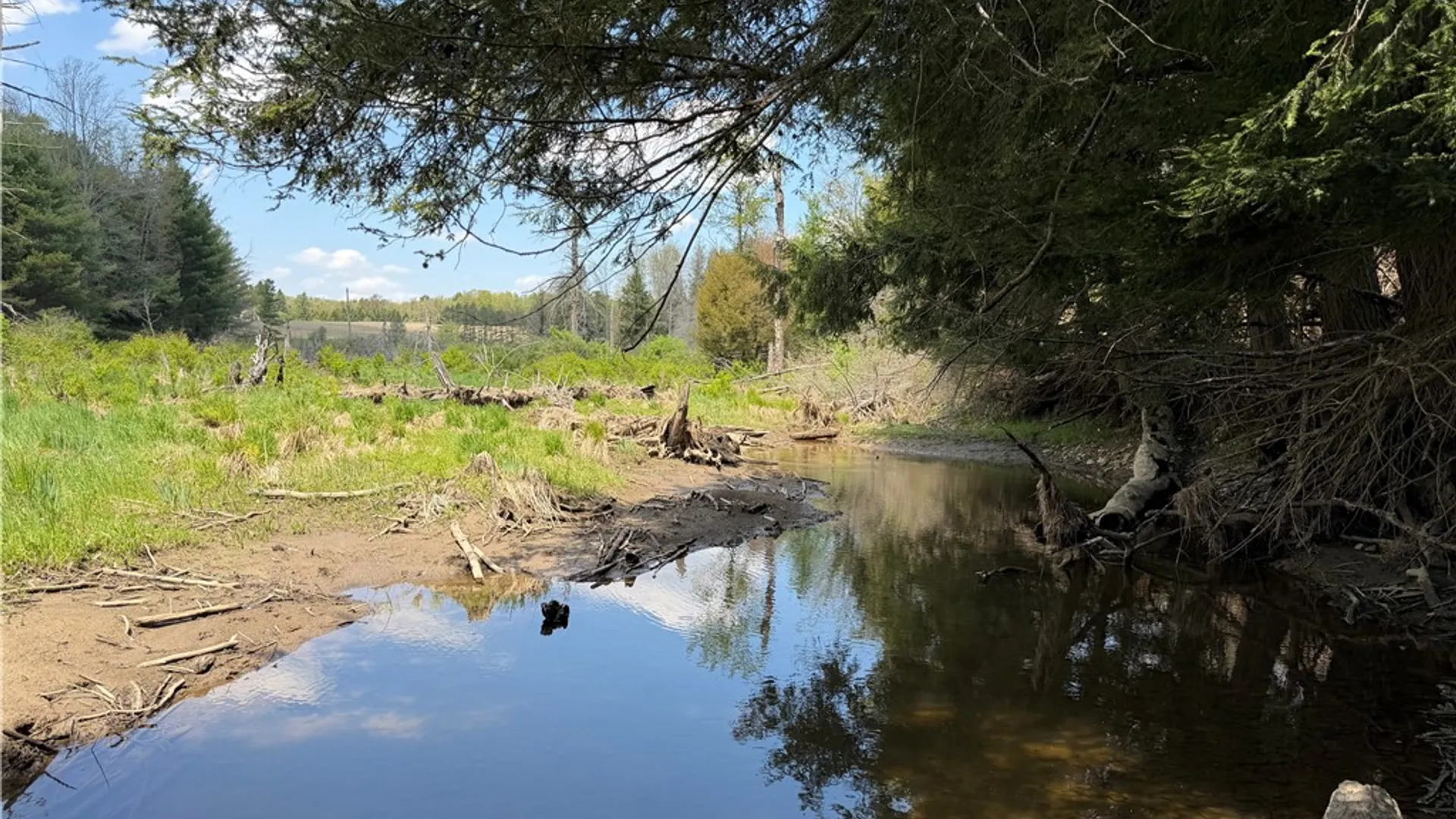 Property at Lot 2 County Road 16, Grove, NY 14884 21