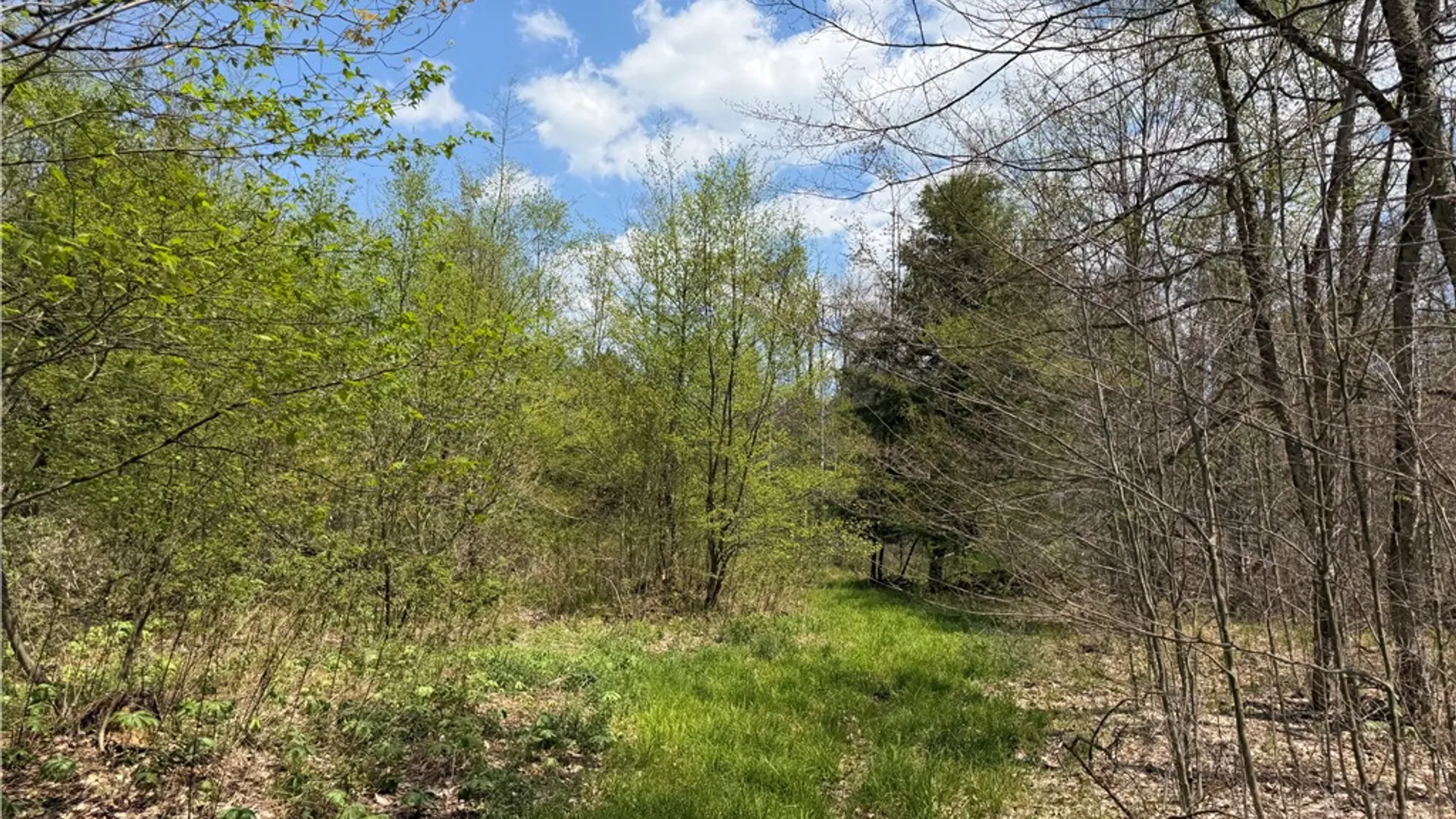 Property at Lot 2 County Road 16, Grove, NY 14884 22