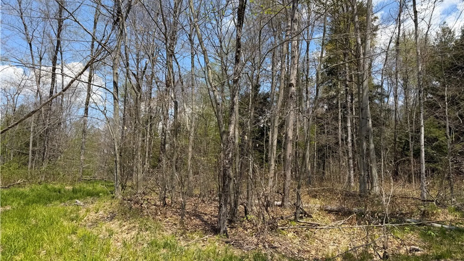 Property at Lot 2 County Road 16, Grove, NY 14884 23