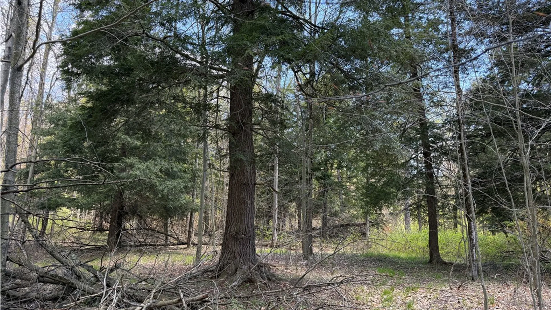 Property at Lot 2 County Road 16, Grove, NY 14884 24