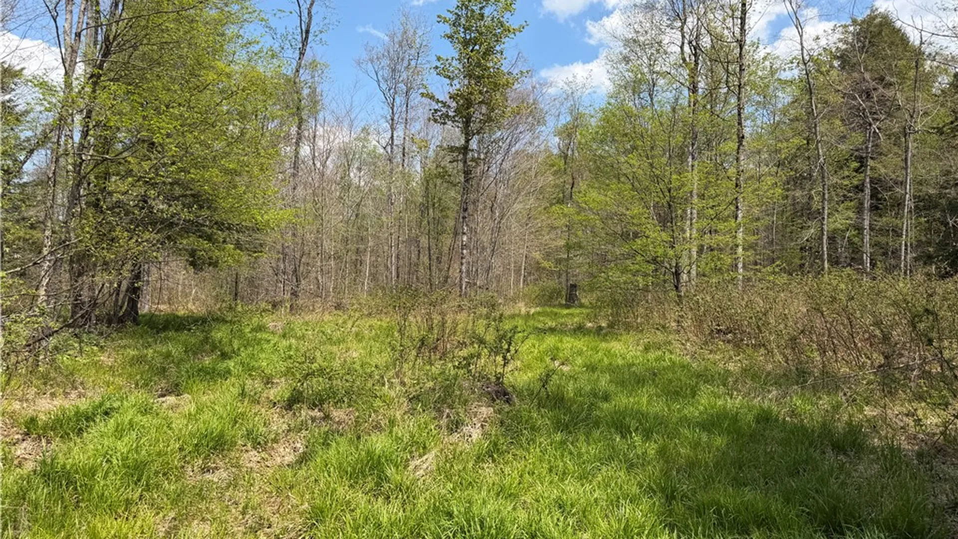 Property at Lot 2 County Road 16, Grove, NY 14884 25