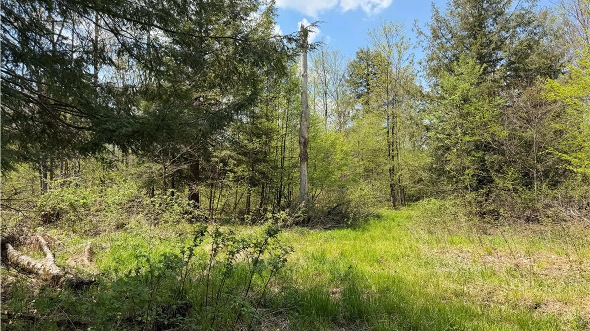 Property at Lot 2 County Road 16, Grove, NY 14884 26