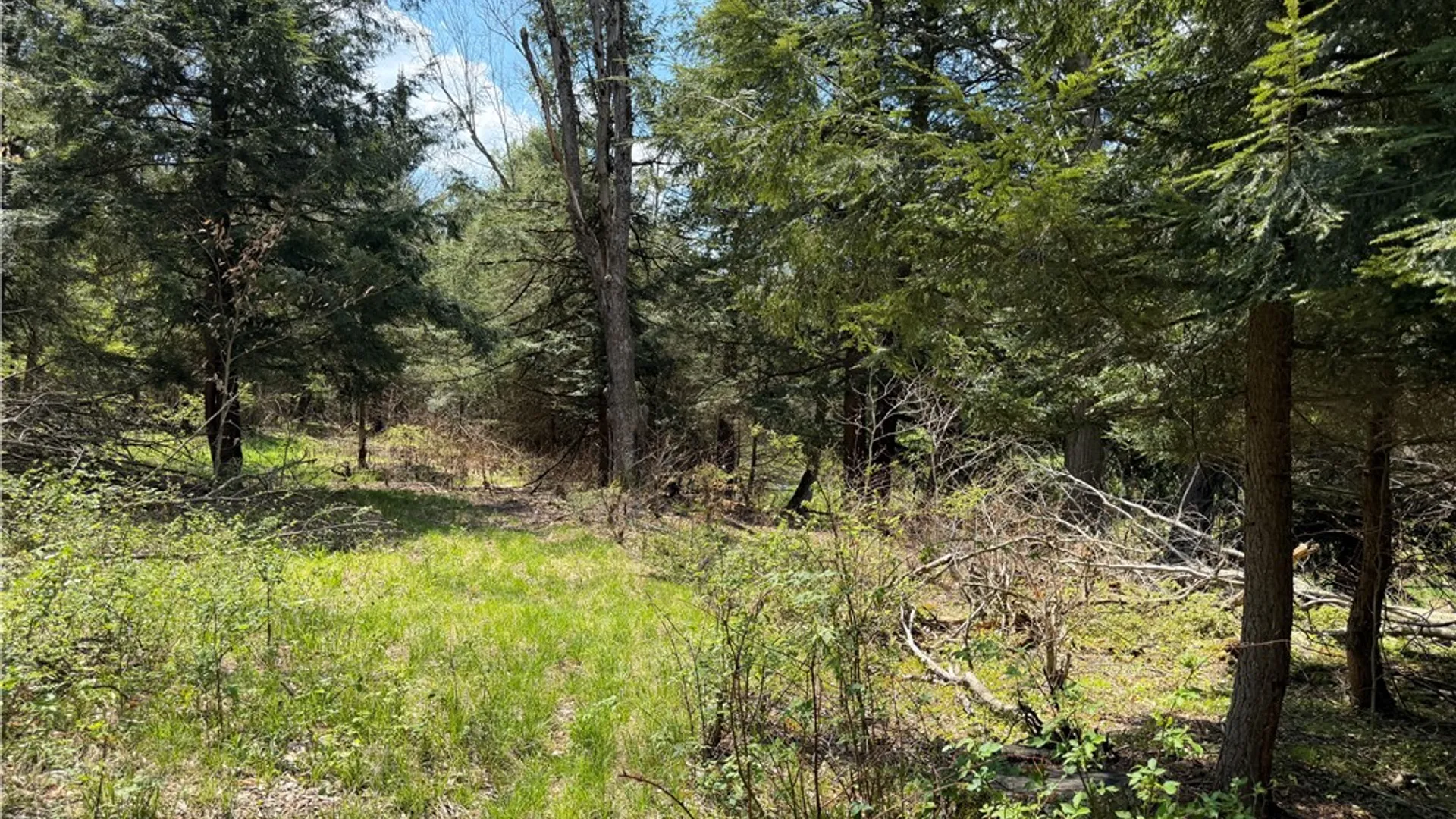 Property at Lot 2 County Road 16, Grove, NY 14884 27