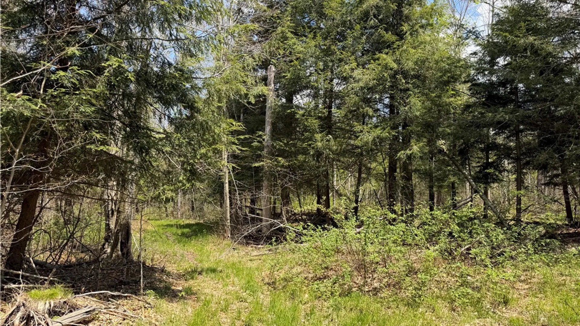Property at Lot 2 County Road 16, Grove, NY 14884 28