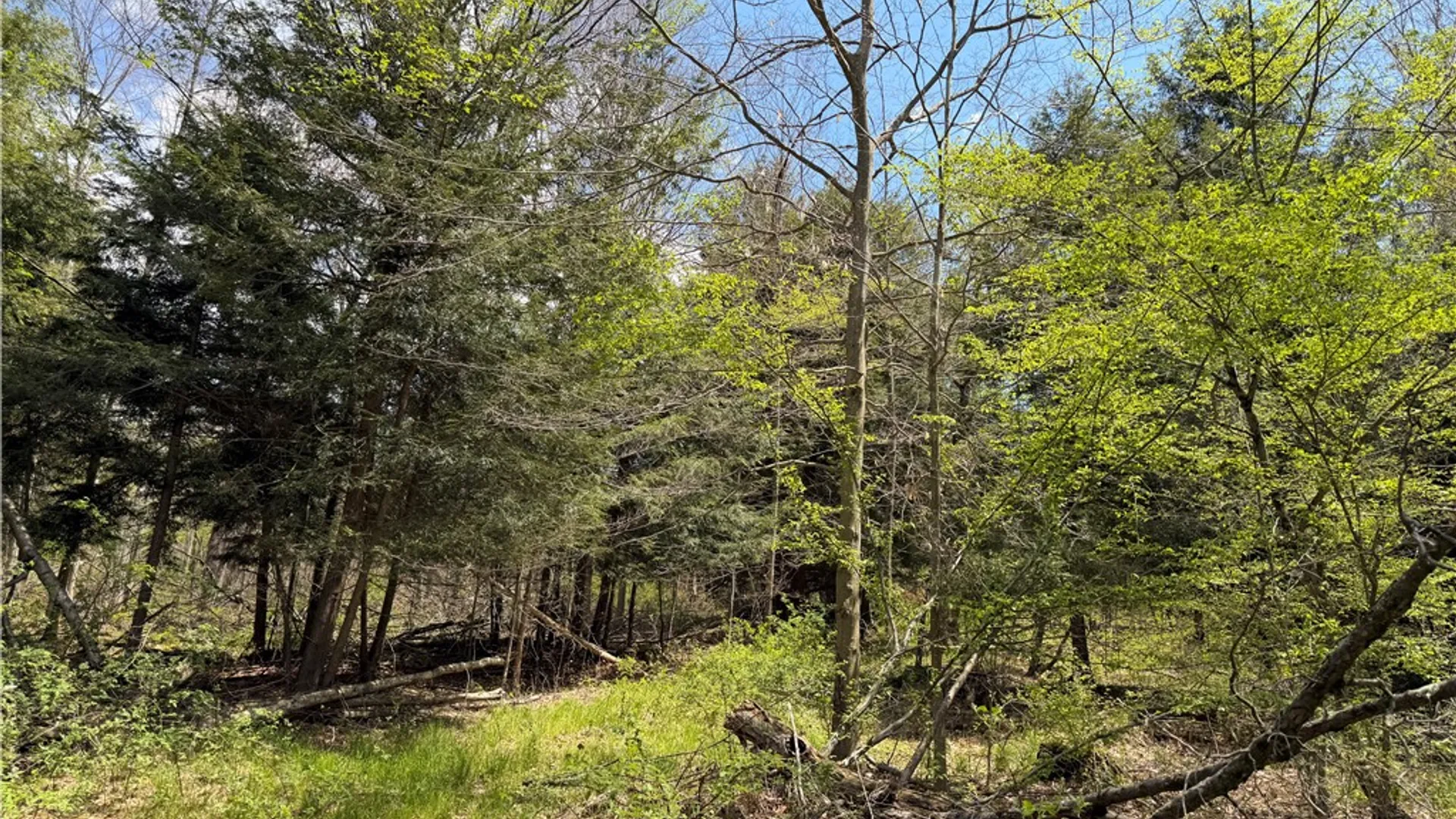 Property at Lot 2 County Road 16, Grove, NY 14884 29