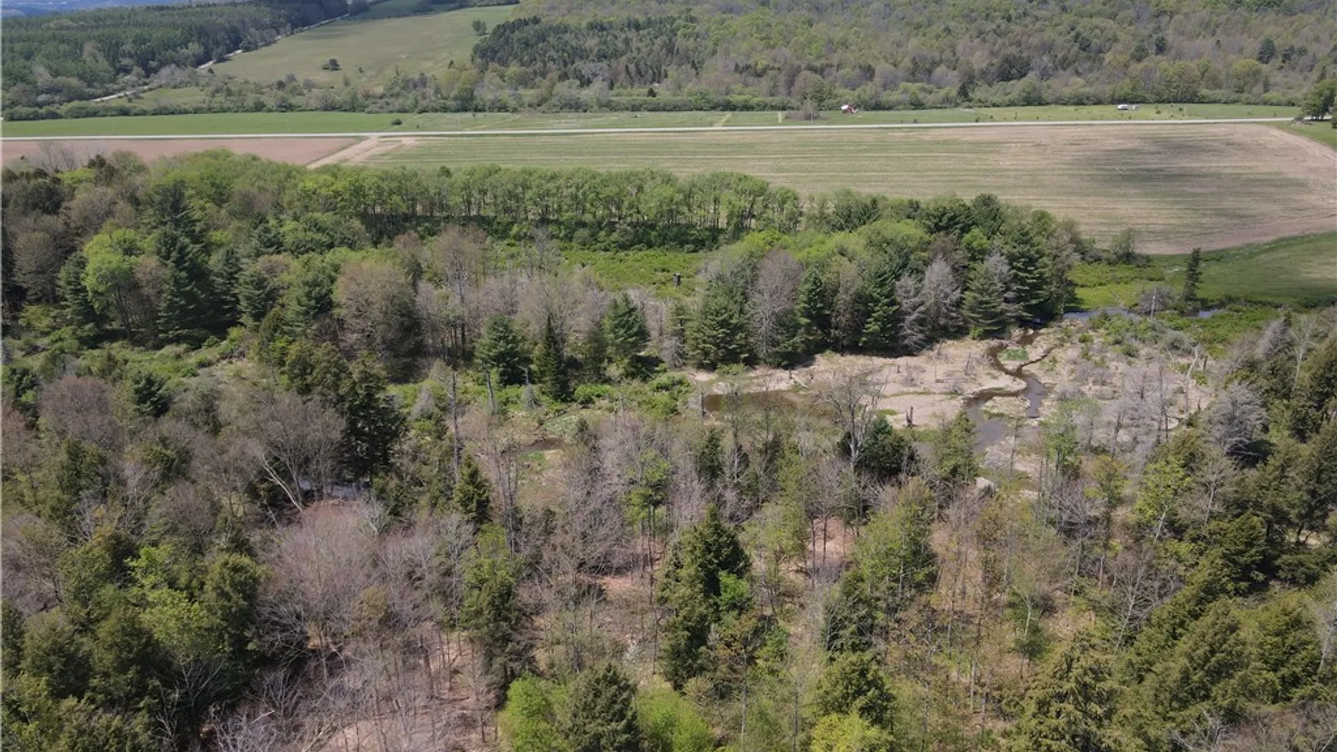 Property at Lot 2 County Road 16, Grove, NY 14884 30