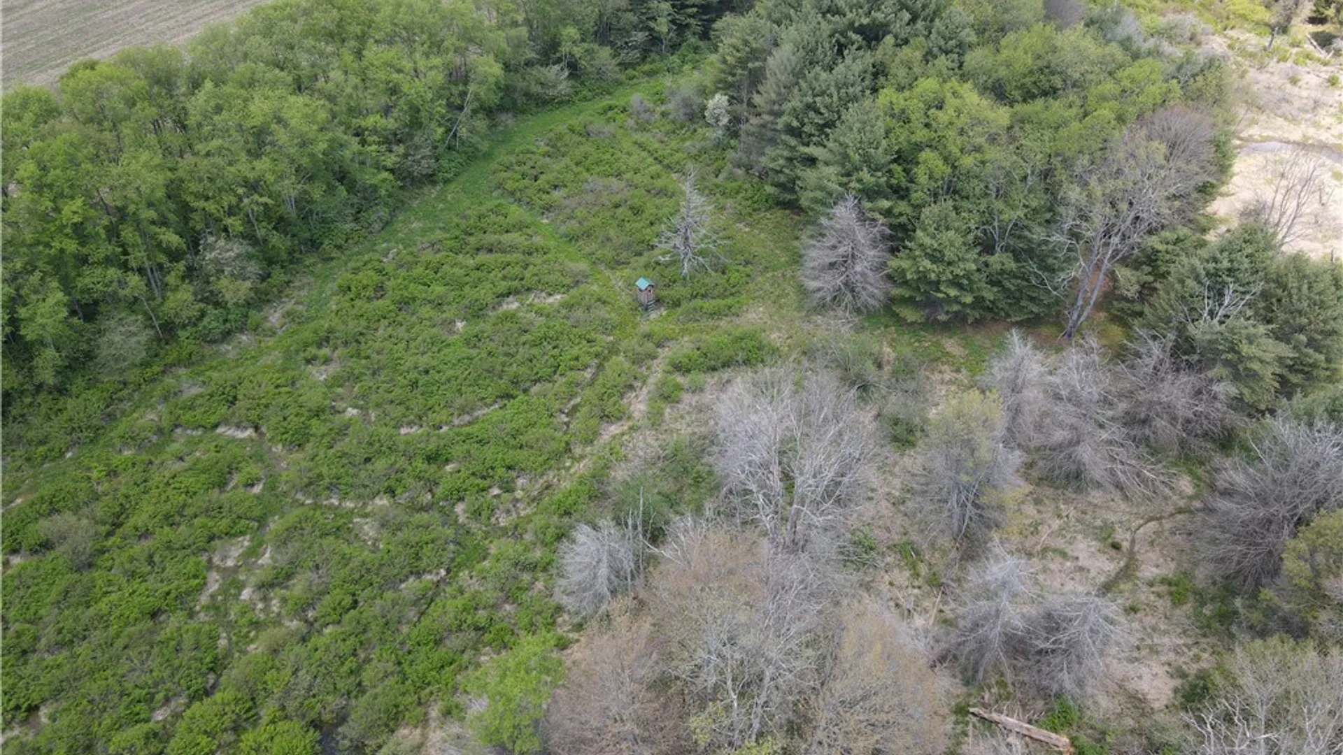 Property at Lot 2 County Road 16, Grove, NY 14884 31