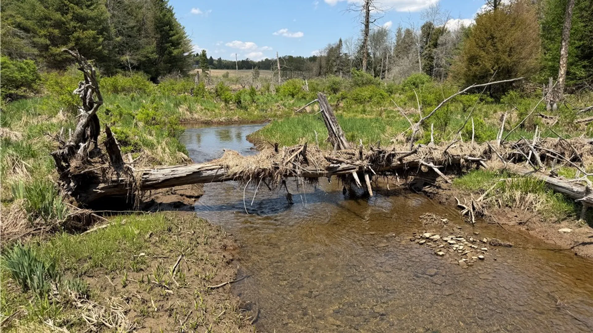 Property at Lot 2 County Road 16, Grove, NY 14884 36