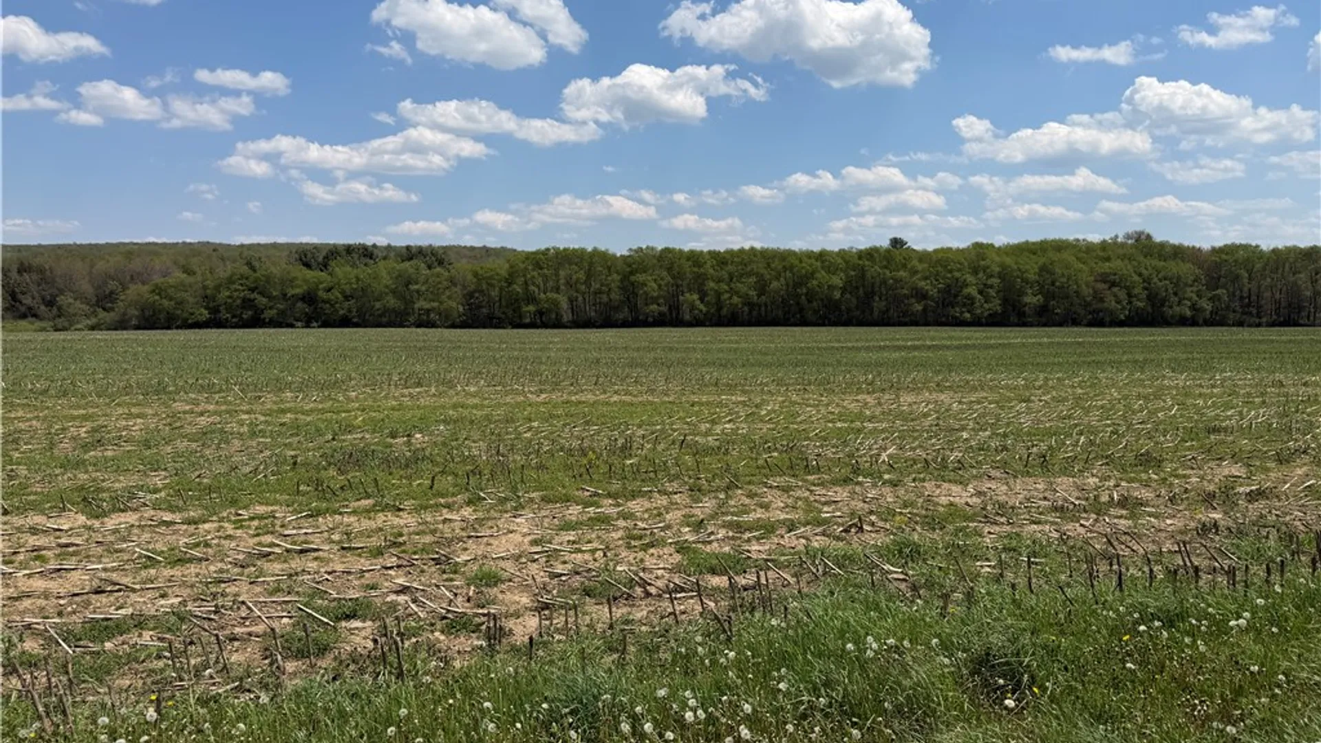 Property at Lot 2 County Road 16, Grove, NY 14884 37