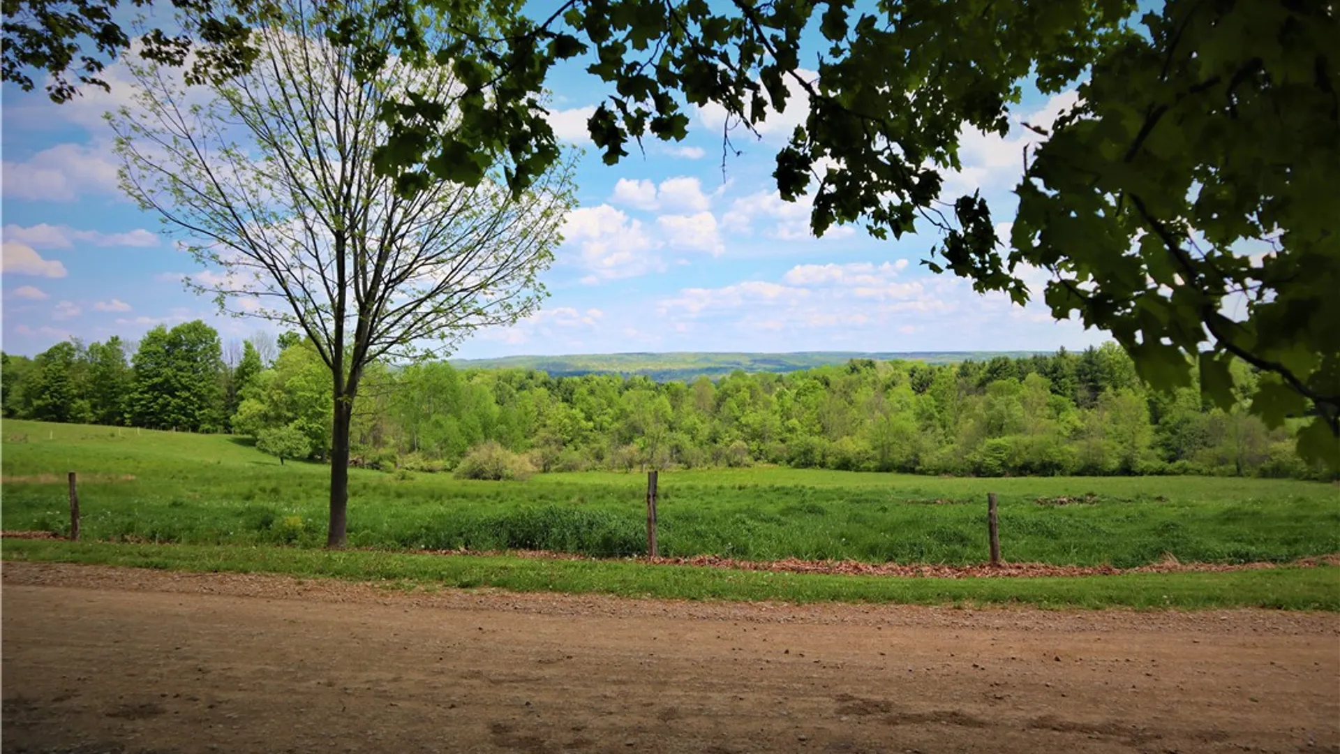 Property at 8361 Lockwood Road, Caneadea, NY 14717 9