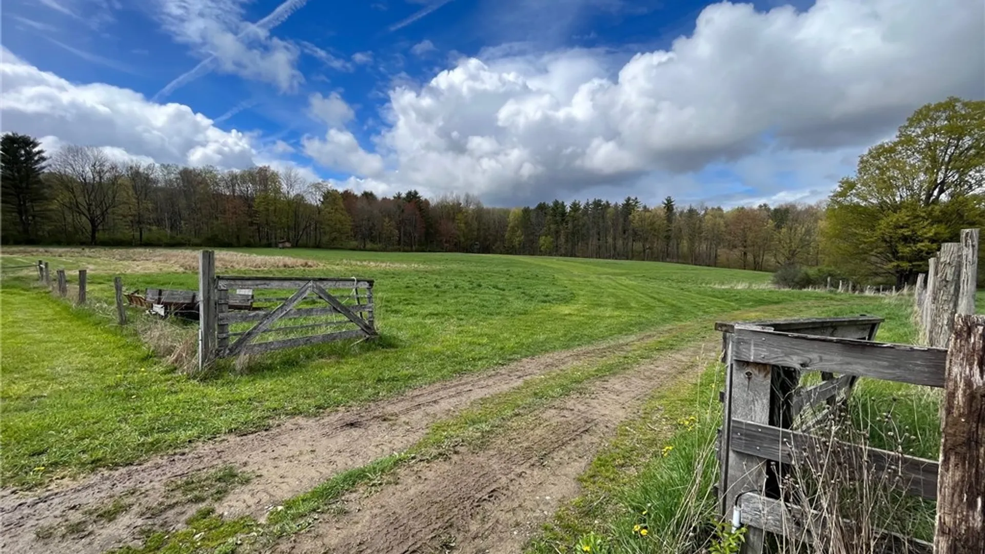 Property at 8361 Lockwood Road, Caneadea, NY 14717 28