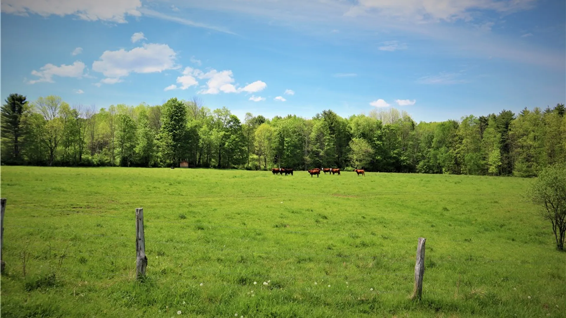 Property at 8361 Lockwood Road, Caneadea, NY 14717 34