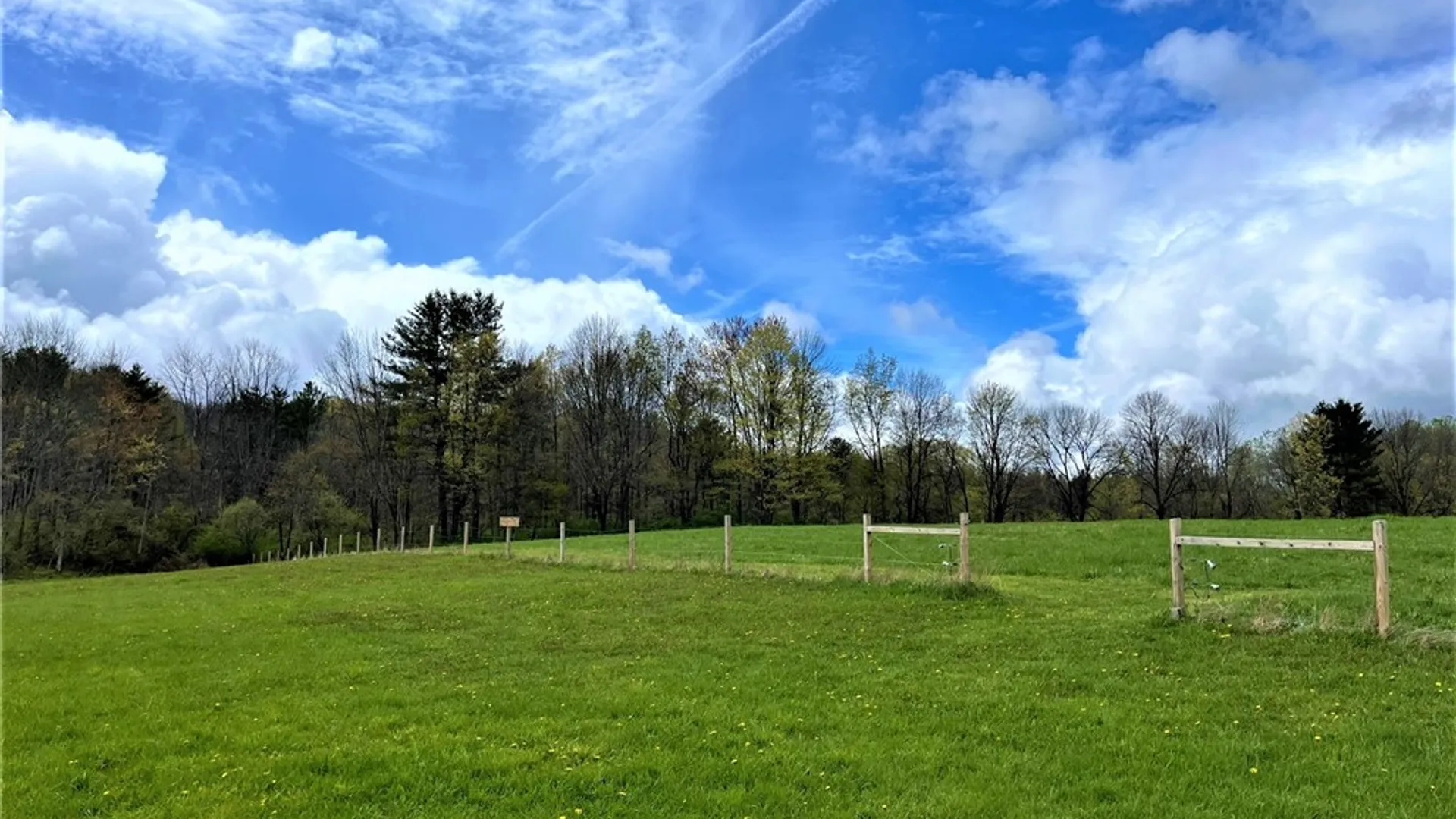 Property at 8361 Lockwood Road, Caneadea, NY 14717 38