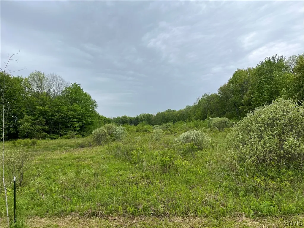Property at Hong Kong Road, Albion, NY 13142